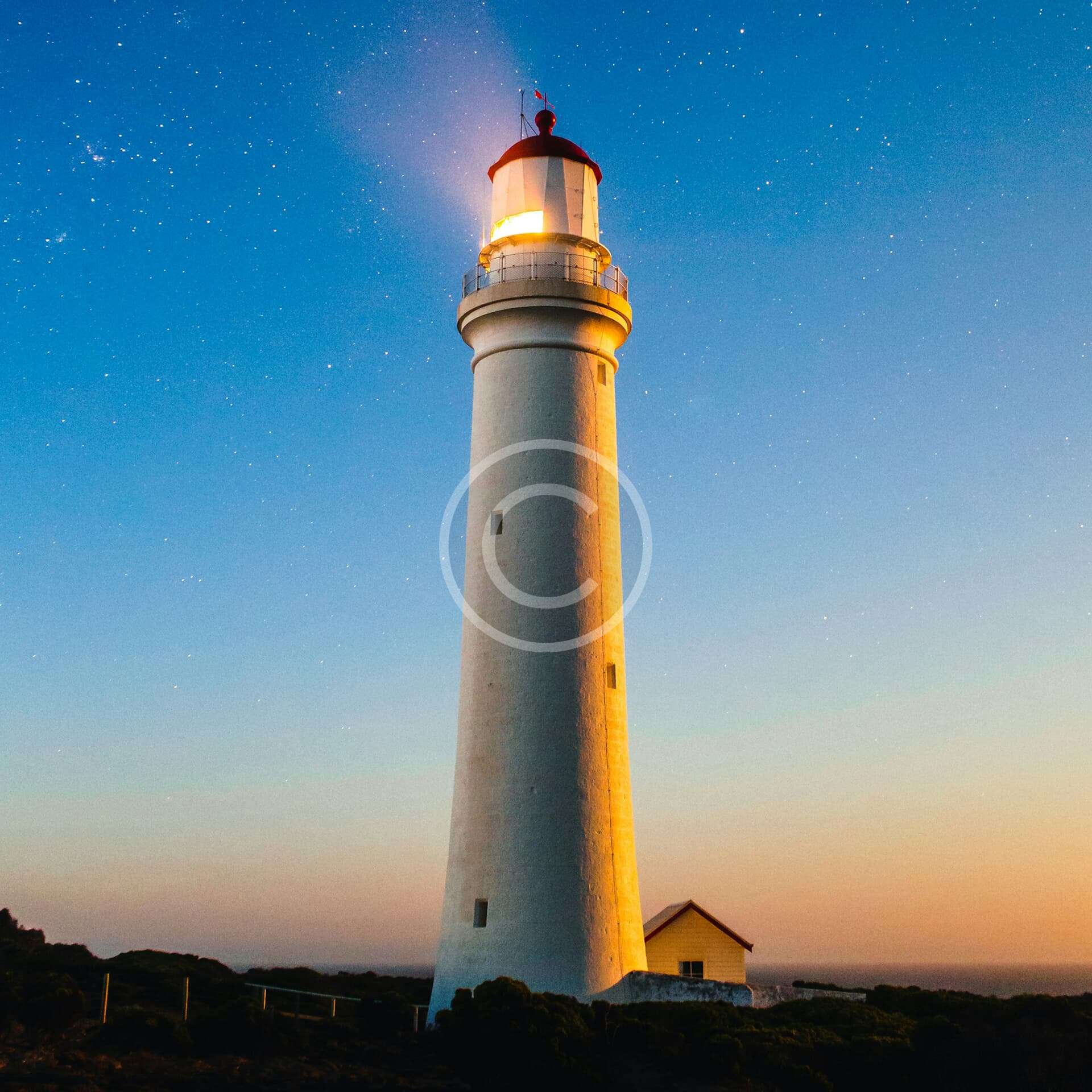 City lights